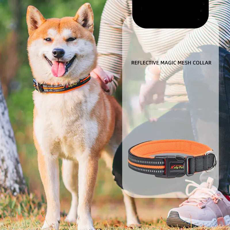 Breathable Mesh Nylon Dog Collar with Adjustable Fit