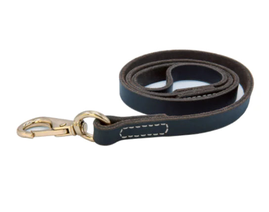 Leather Pet Traction Strap in Red, Blue, and Green